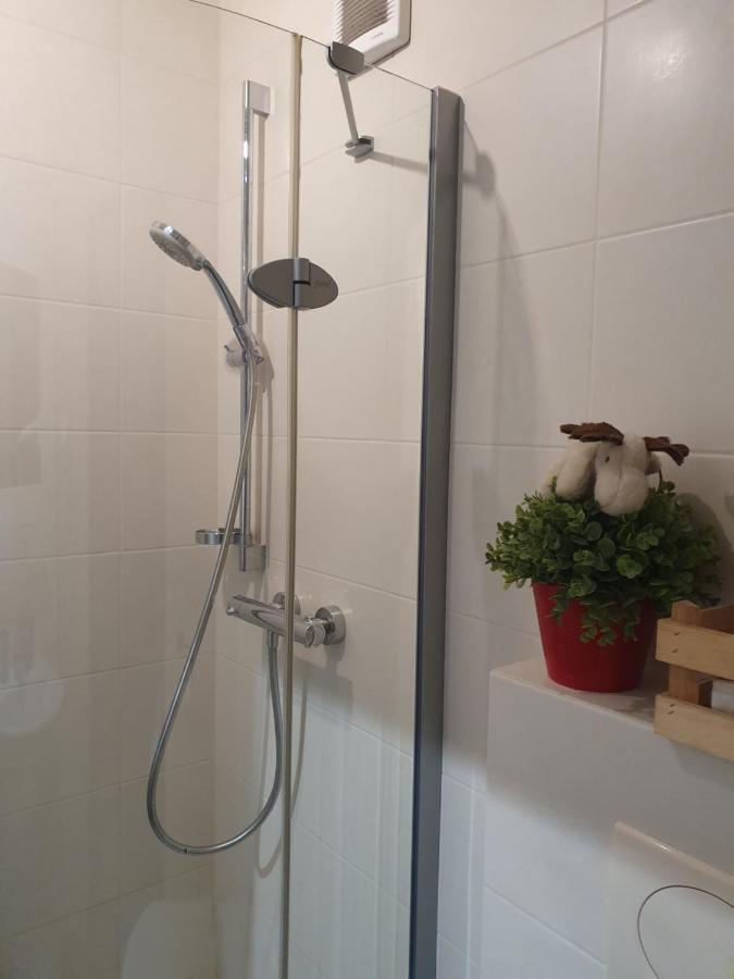 Izba W Centrum Apartment
